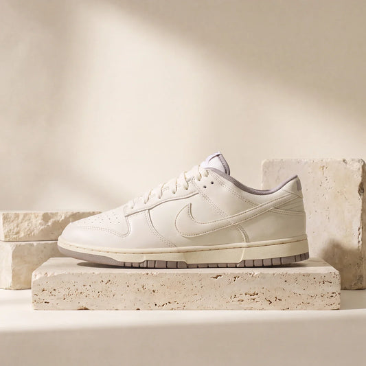 Nike Dunk Low Retro