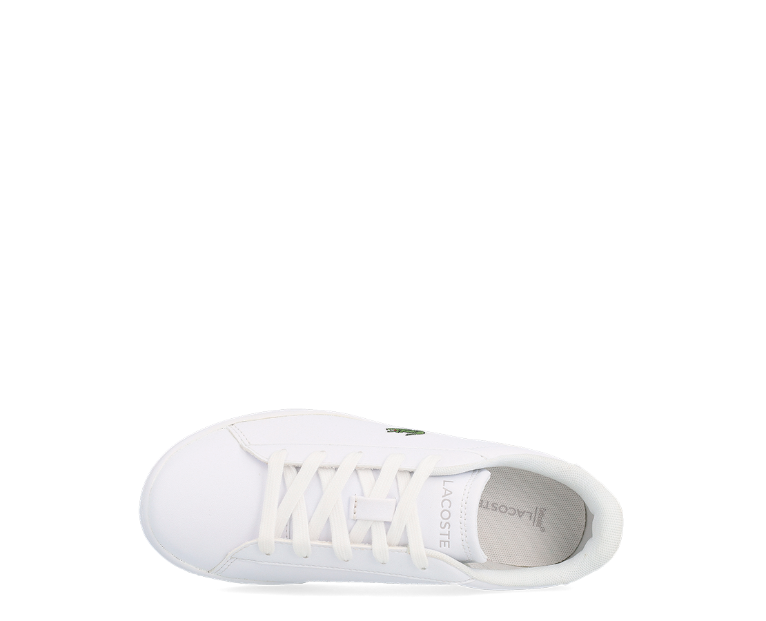 Lacoste Carnaby Set 224 BR/MAR - 48SUC0013-21G-115