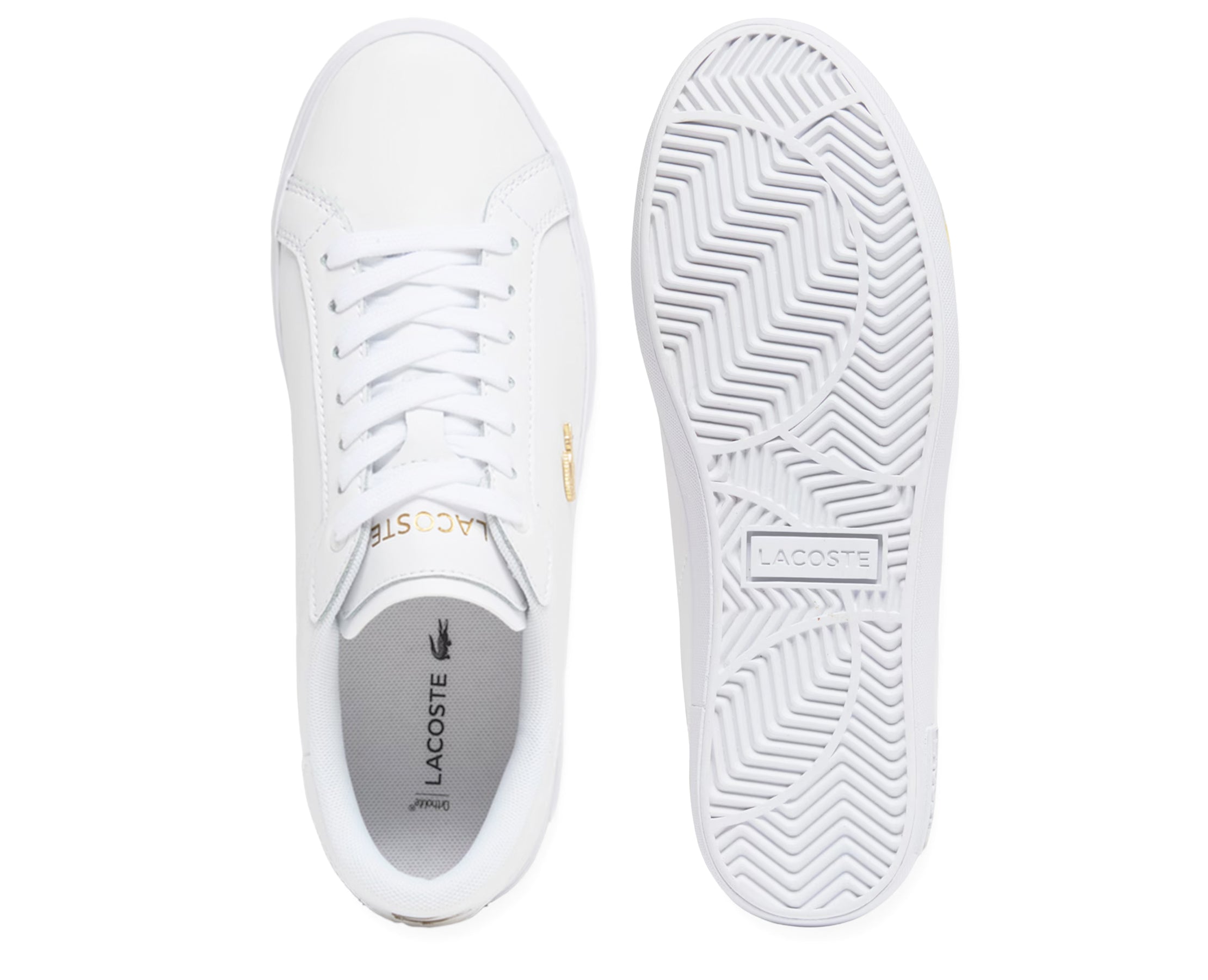 Lacoste Powercourt 126 3 BR/DOUR - 51SFA0192-216-112