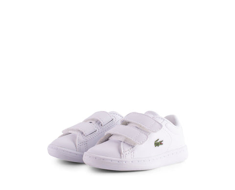CARNABY EVO BL 1 I LACOSTE BR/MAR - 33SPI1003-042-115