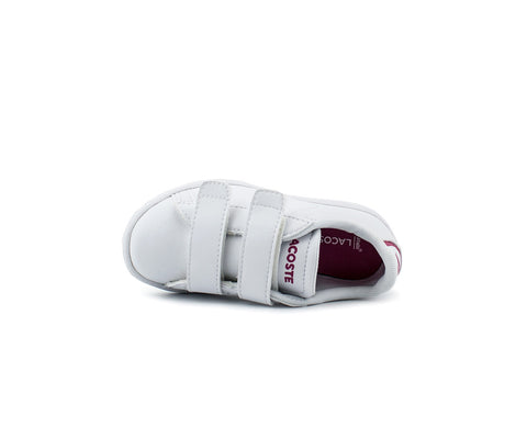 CARNABY EVO SAP. LACOSTE BR/RS - 33SPI1003.B53-122