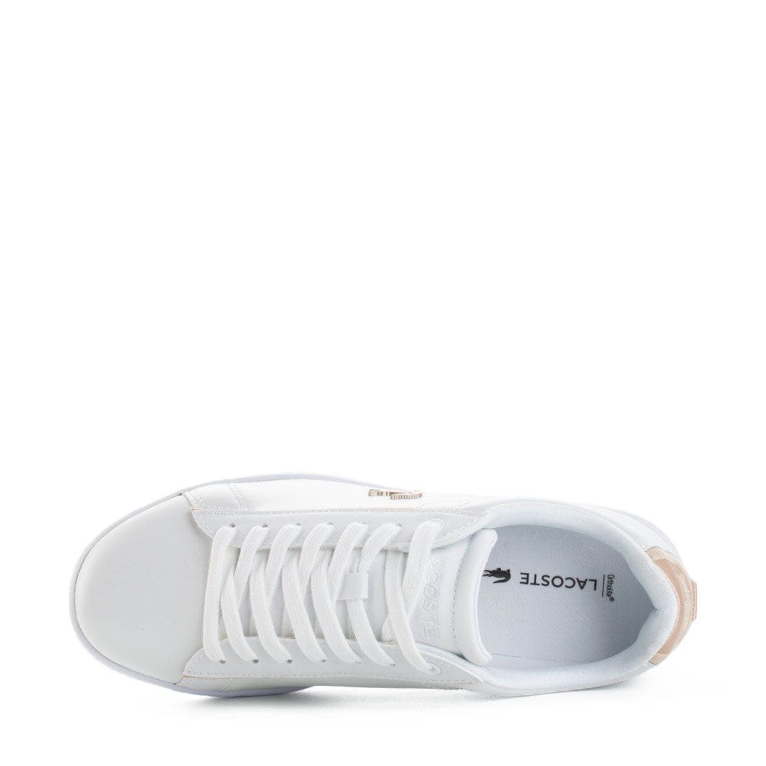 Lacoste Carnaby Evo BR/DOUR - 35SPW0013.216-112