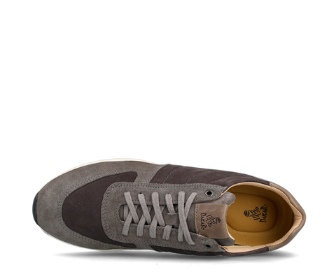 Dakar Neom ANT - 39022-19170-12