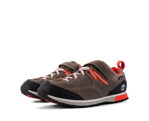 Timberland Griffin Park Low GTX VD/LAR/PR - A1HF3-777