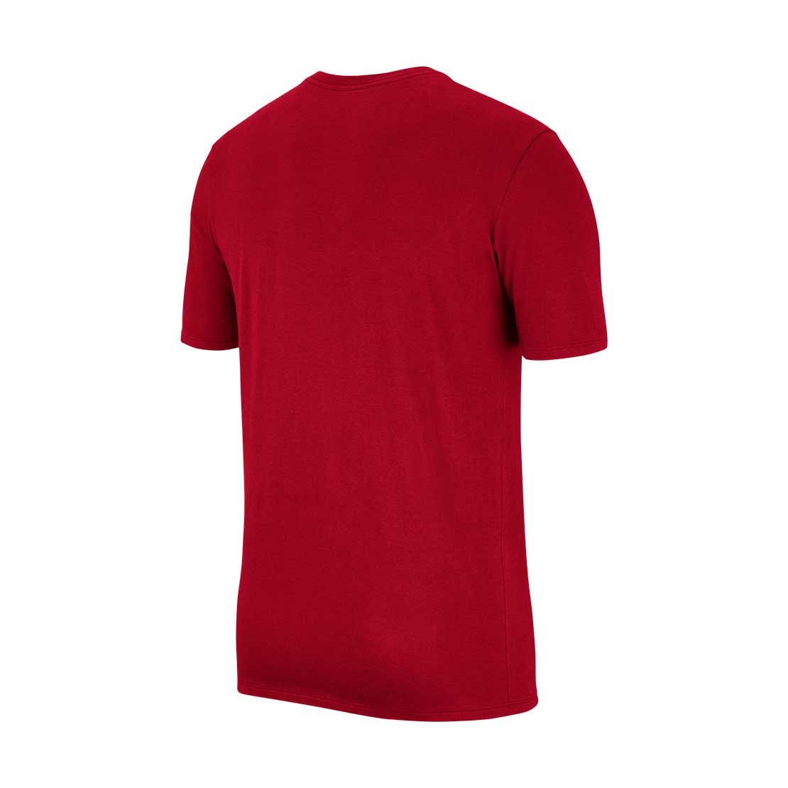 T-Shirt Nike Jordan Jumpman VM/PR - AH5296-687-332