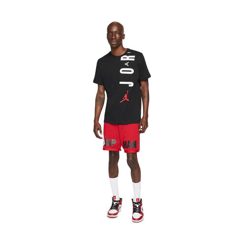 T-Shirt Nike Air Jordan PR/BR/VM - CZ8402-010-254