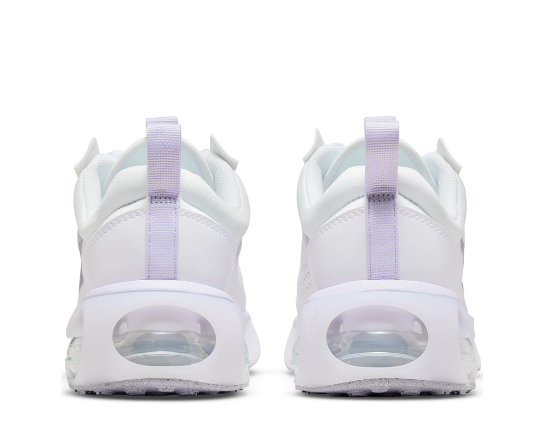 Nike Air Max 2021 BR - DA3199-100-90