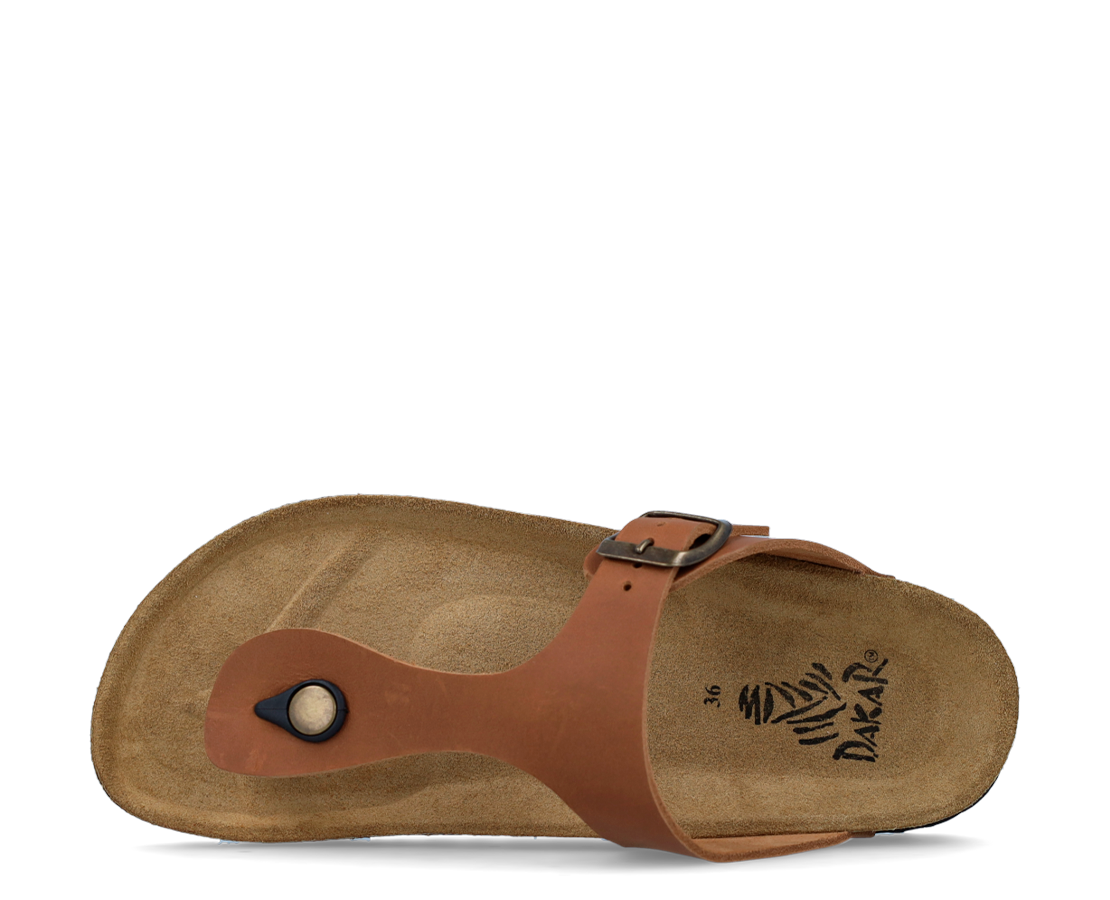 Dakar Sandals Thong CAMEL - DAKAR120BROWN-134