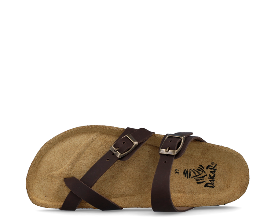 Dakar Sandals Multi Strap CAST - DAKAR130BROWN2-137