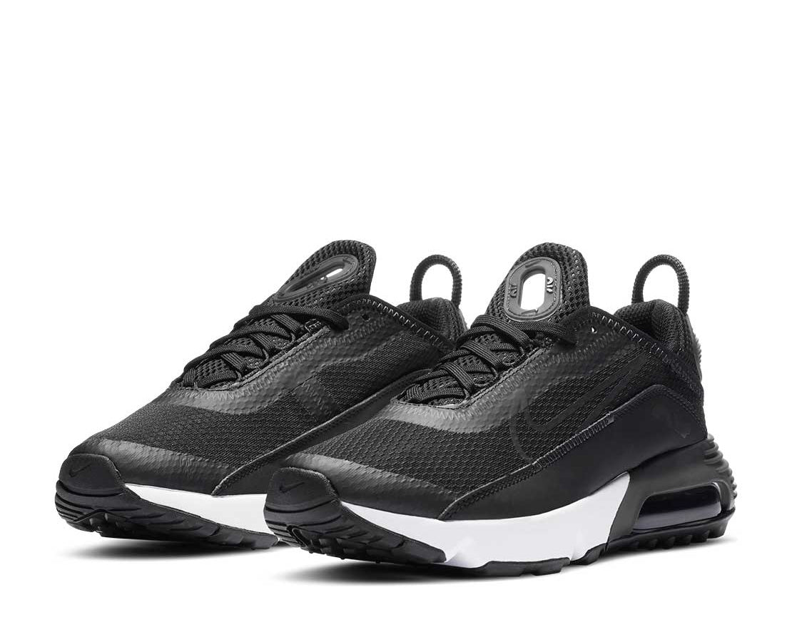 Nike Air Max 2090 PR/ANT - DD3236-001-244