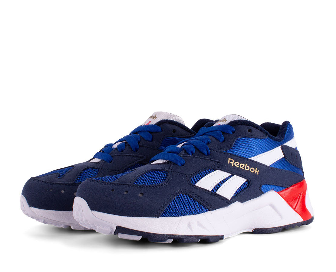 Reebok Aztrek MAR/BR - DV4541-213
