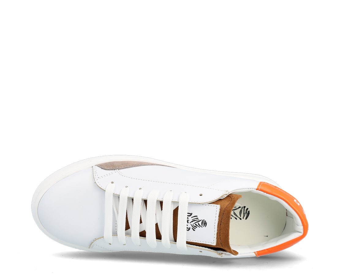 Dakar Tayma BR/LAR - M10901-127-113