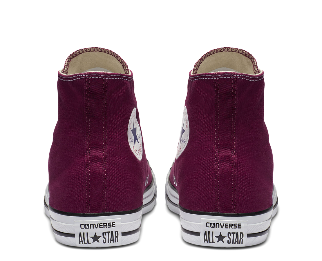 Converse Chuck Taylor All Star Seasonal BORD/BR - M9613C-742