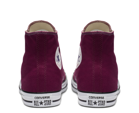 Converse Chuck Taylor All Star Seasonal BORD/BR - M9613C-742