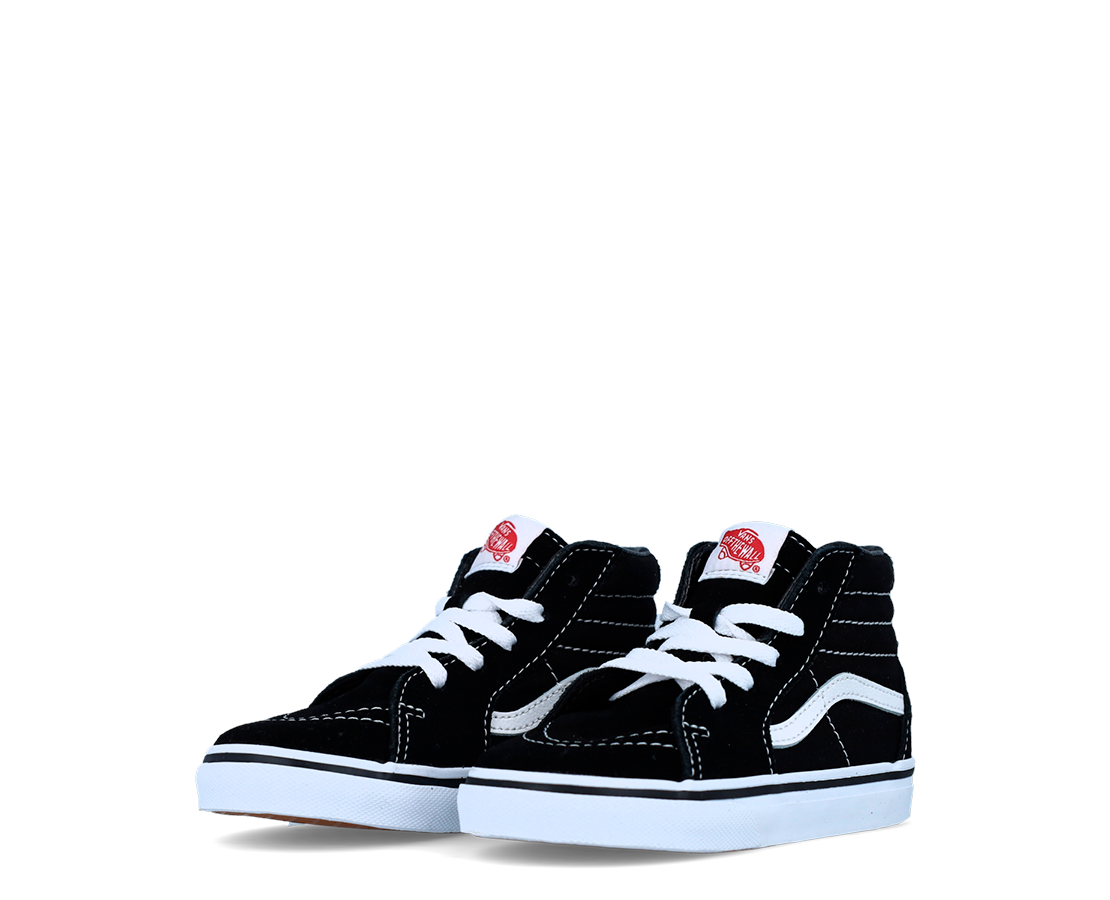 Vans SK8-Hi PR/BR - VN0A3TFX6BT-249