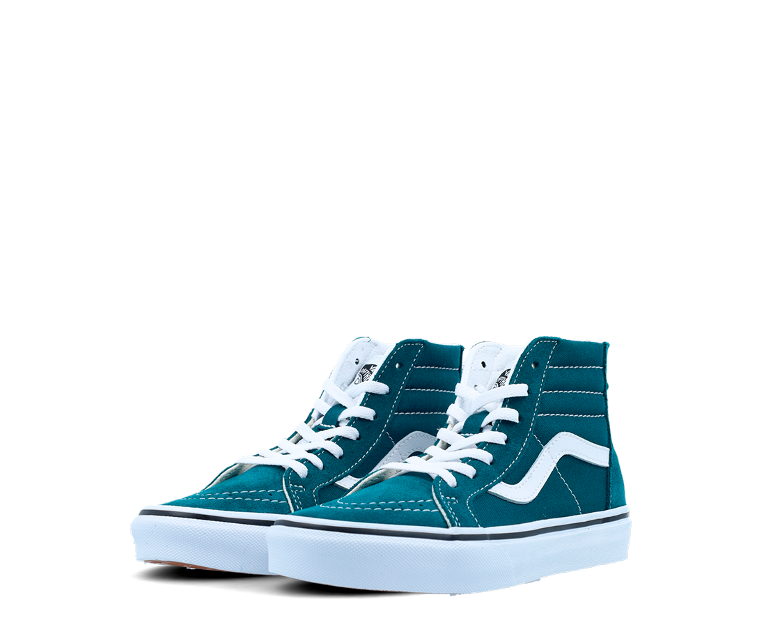 Vans SK8-HI VD/BR - VN0A5ELF60Q-311