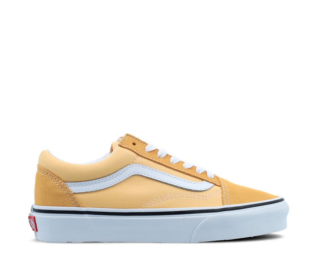 Vans Old Skool AM/BR - VN0A5KRFAVL-4