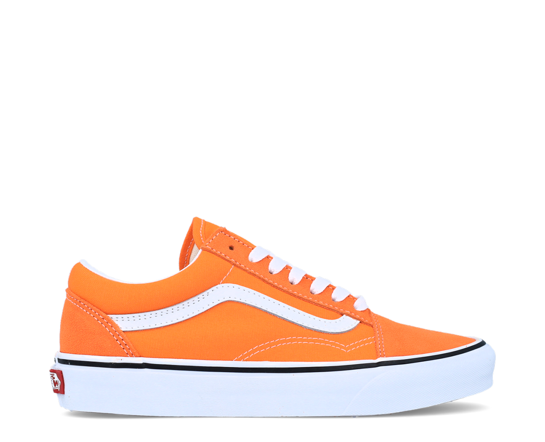 Vans Old Skool LAR/BR - VN0A5KRFAVM-195