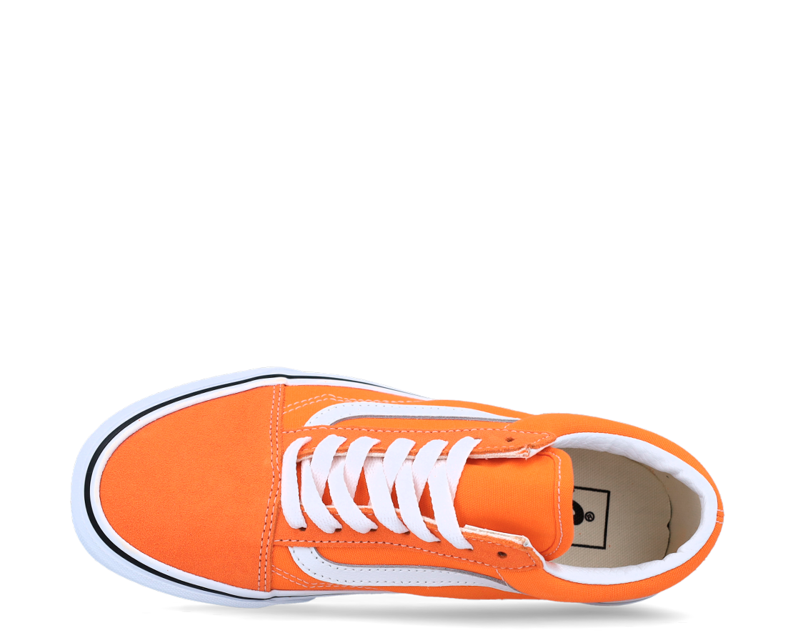 Vans Old Skool LAR/BR - VN0A5KRFAVM-195